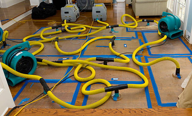 Professional Crawl Space Water Removal technician working in Womelsdorf, PA